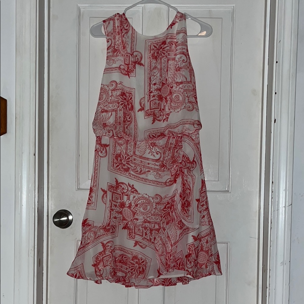 Express Red and White Floral Dress